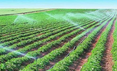 看乌克兰美女粉嫩B被黑大棒猛插的动态图农田高 效节水灌溉